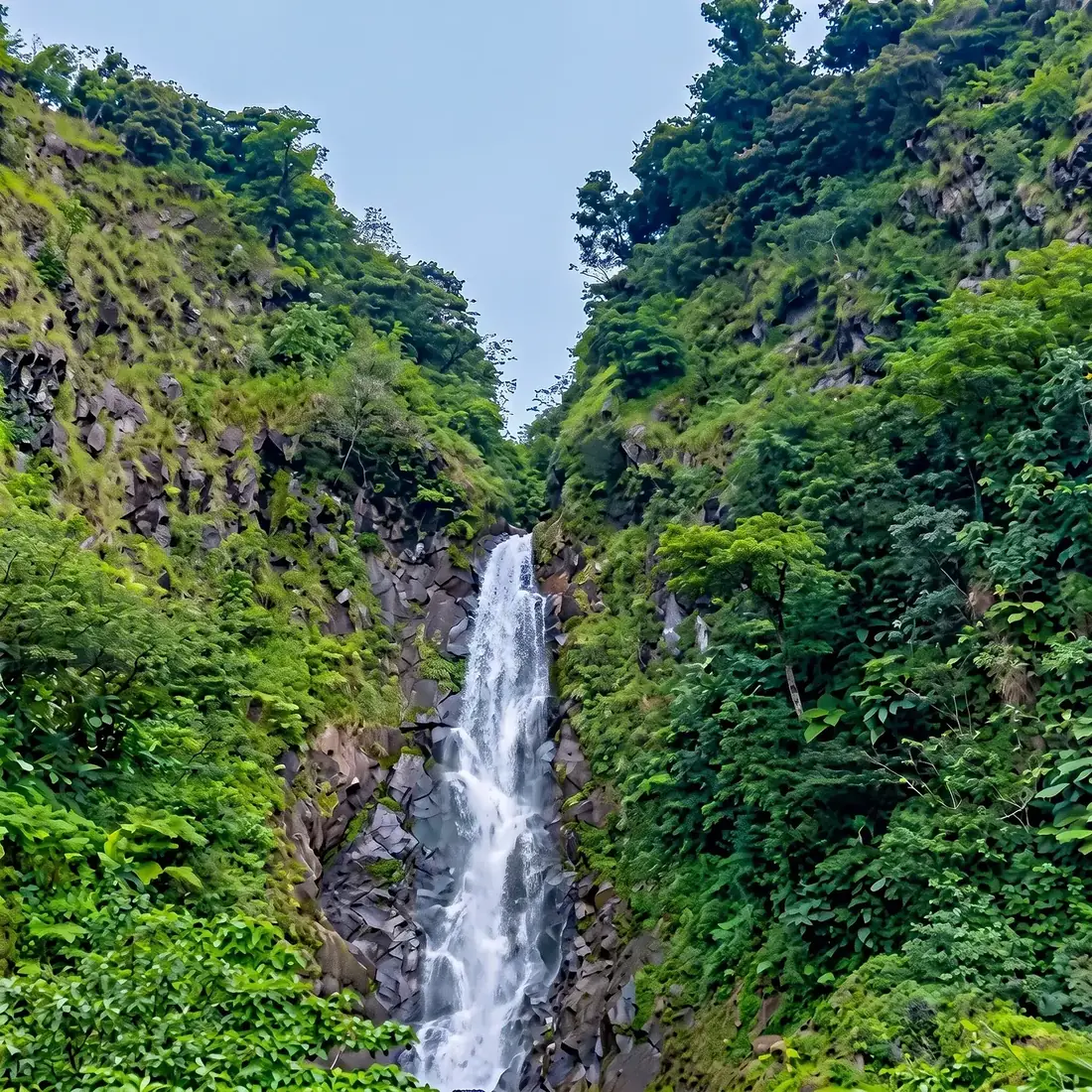 Trafalgar Falls cascading down a verdant gorge