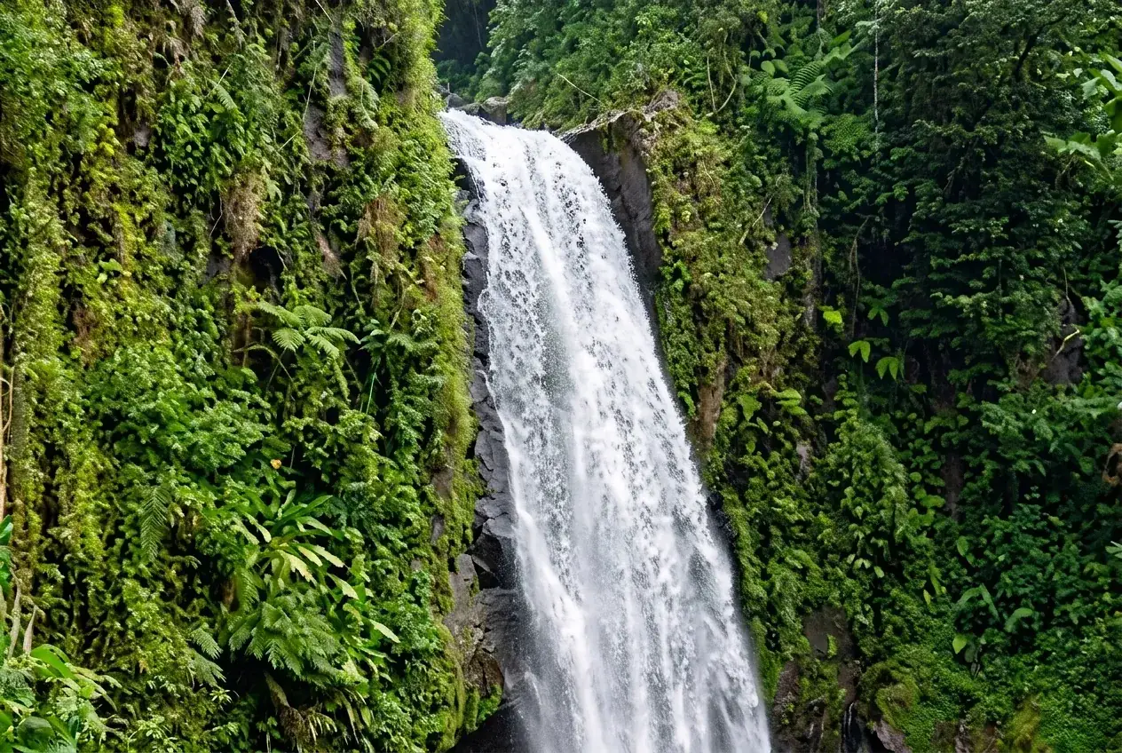 A waterfall in Dominica’s river gorges